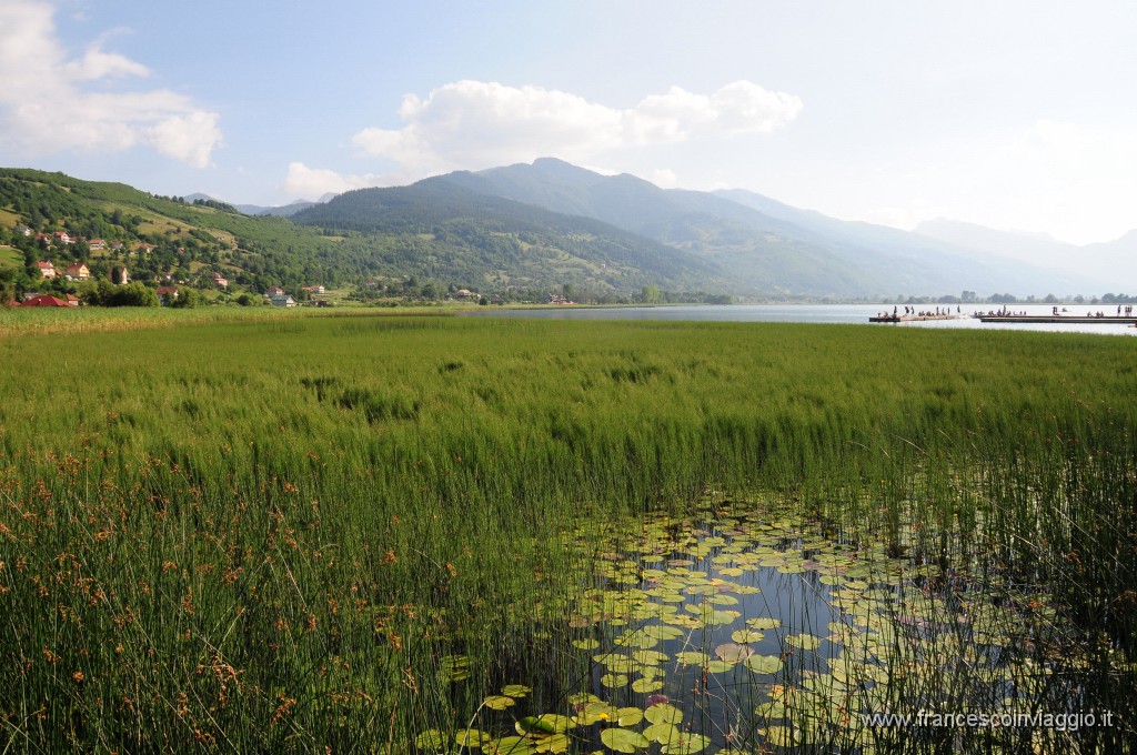 Lago di Plav450DSC_3296.JPG